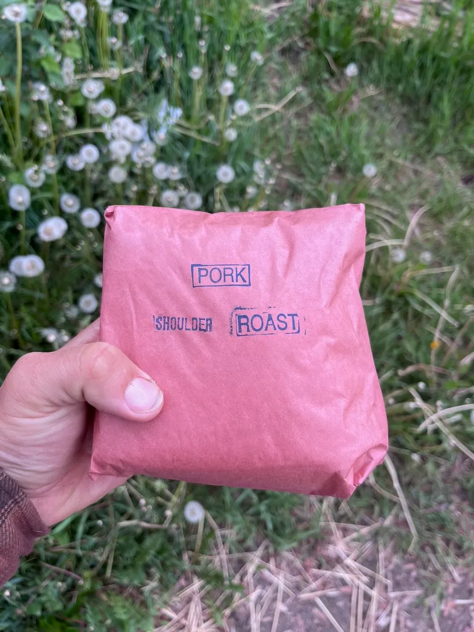 Shoulder Roast (picnic shoulder)