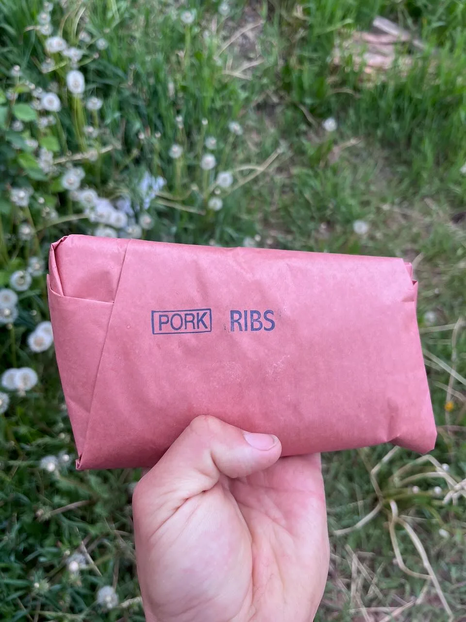 Ribs (spare ribs, side)