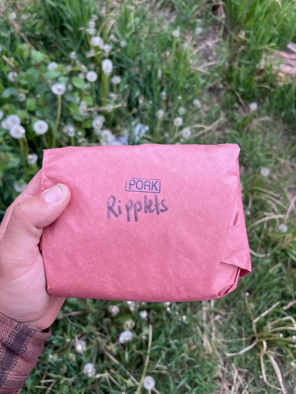 Ripplets (side ribs / spareribs)